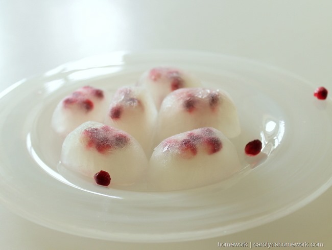 Pomegranate Lemonade Ice via homework  carolynshomework (6)