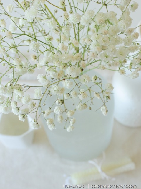 Winter Whites via homework | carolynshomework.com Winter Whites via homework | carolynshomework.com
