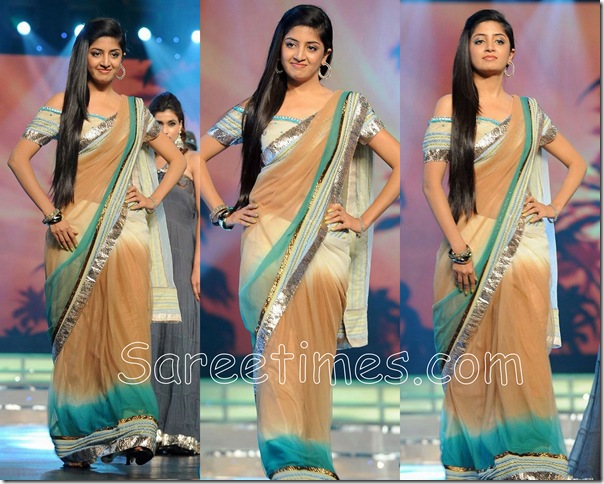 Poonam_Kaur_Designer_Saree