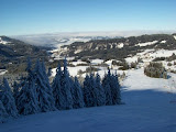 20100116_009.jpg