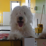 DSCN4550.jpg