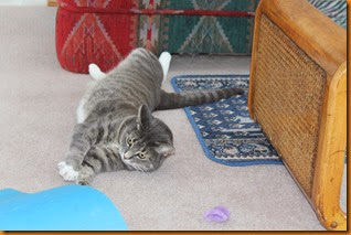 IMG_3910 IMG_3910