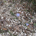 IMG_6573.JPG