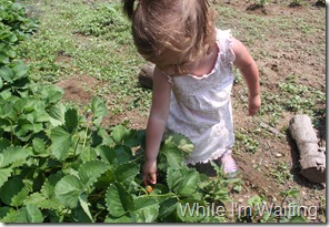 2011 Jun 08_0014 2011 Jun 08_0014
