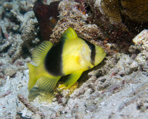 P7034535