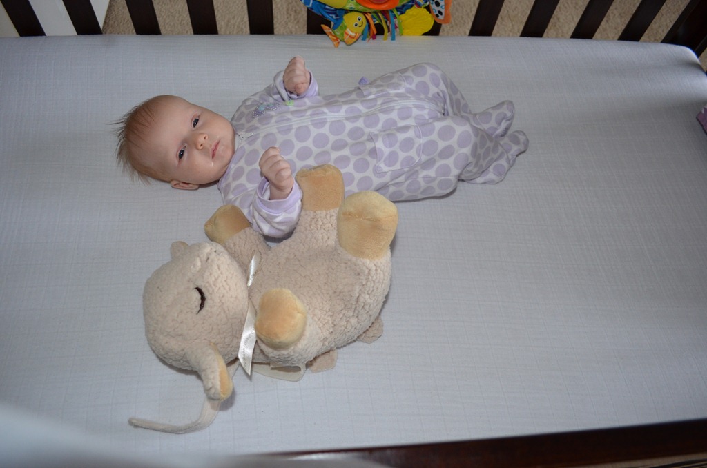 [DSC_0673%255B3%255D.jpg]