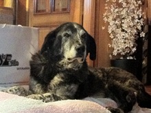 IMG_0519 IMG_0519