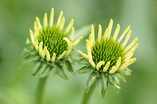 20100810_155348