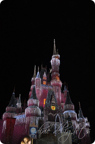 Disney December 2012 431 Disney December 2012 431