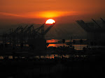 IMG_7550.JPG