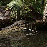 DSCF3781.jpg