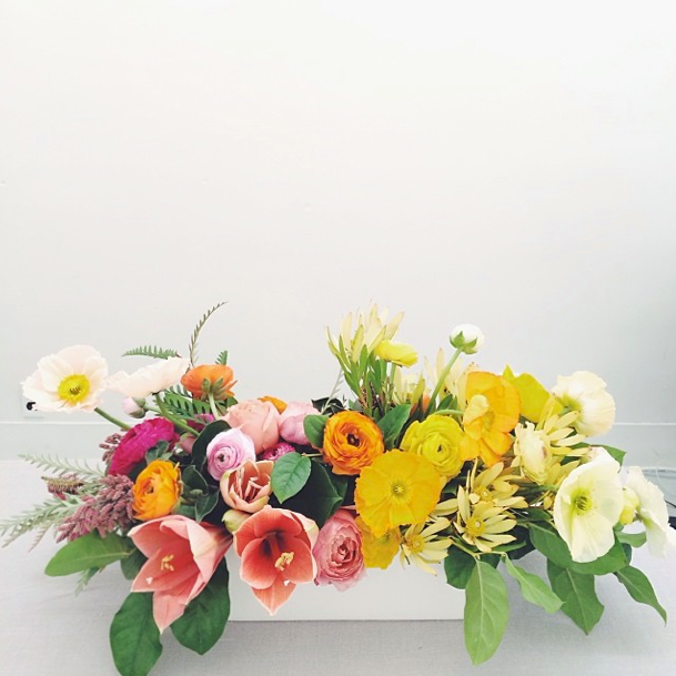 [shotgun-floral-studio-1904166_580342%255B2%255D.png]