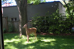 DSCN1085.jpg
