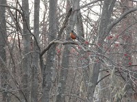 DSC03002.JPG