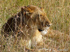 Manyara Nationalpark