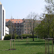 P1130357.JPG