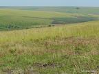 Farmland