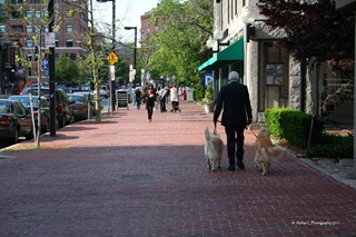 Boston-Streets2