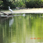 DSCN8382.JPG