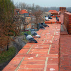 pigeons looking down @ warsaw old town.jpg pigeons looking down @ warsaw old town.jpg