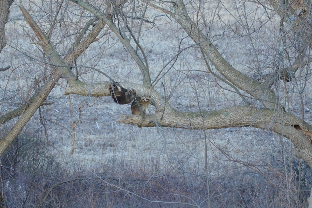 [DSC_0048x%255B4%255D.jpg]