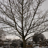 IMG_9566.jpg