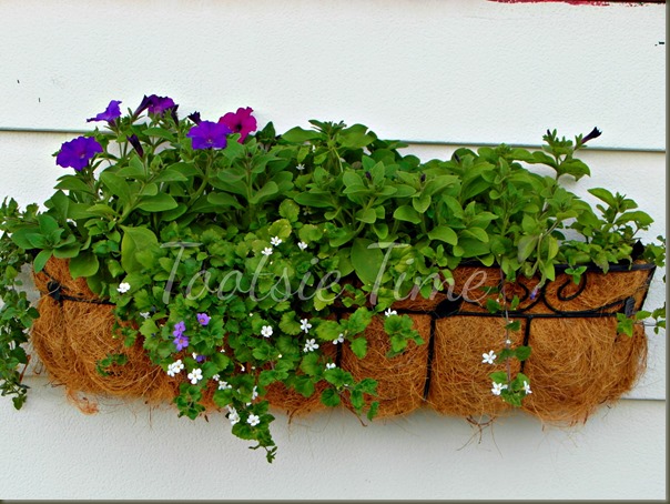 BeFunky_019.jpg BeFunky_019.jpg