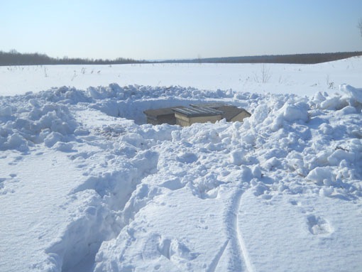 Вторая группа из четырех ульев Вторая группа из четырех ульев