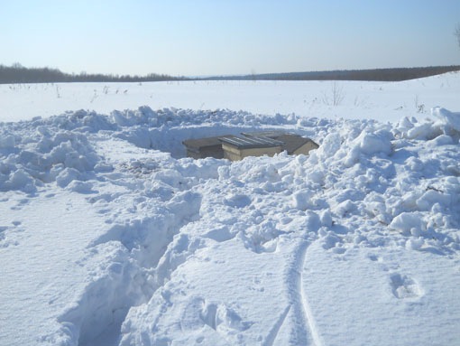 Вторая группа из четырех ульев