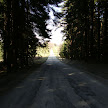 DSC00312.JPG