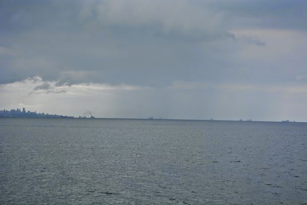 DSC_3793.JPG DSC 3793