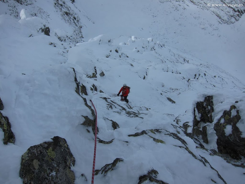 Peretele Nordic Lespezi Caltun