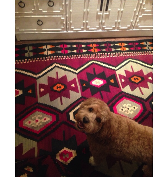 Paloma Contreras Design | Paloma's Dog, Tate via La Dolce Vita Paloma Contreras Design | Paloma's Dog, Tate via La Dolce Vita