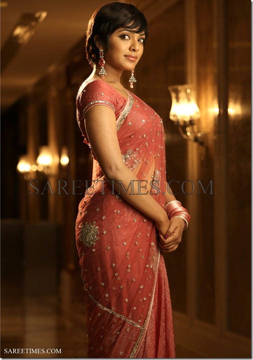 Rima_Killinga_Embroidery_Saree