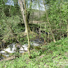 Zaskórz -ruiny młyna dsc06309.jpg