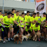 Pet Express Doggie Run 2012 Philippines. Jpg (46).JPG