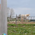 DSC_0023.JPG
