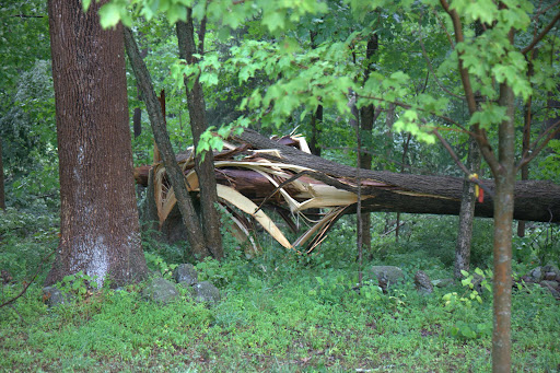 This tree in the woods looks like it was twisted apart and it's just one of many that are ruined.  So, so sad!