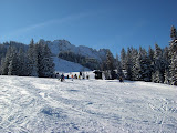 20090215012.jpg