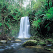 Dandenong Ranges dandenong ranges - waterfall.jpg
