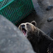 hokkaido_581.jpg