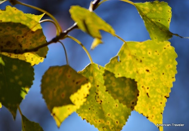 DSC_0536 DSC_0536