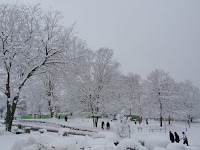 P2020454.JPG
