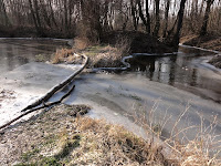 rz. Główna