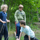 Hamletwood May 2010 - 4891382996.jpg