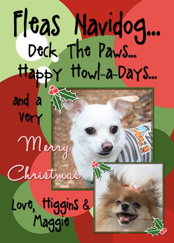 [Higgins%2520Christmas%2520card%2520copy%255B3%255D.jpg]