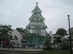 001.JPG