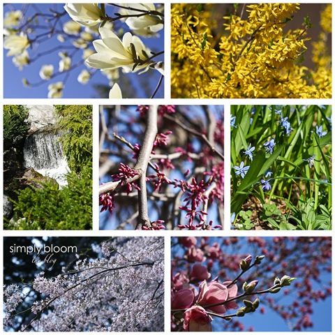 [Flowerscollage3.jpg]