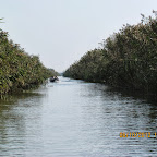 IMG_7954.JPG