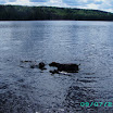 Batnuni Fishing trip 2011 068.JPG